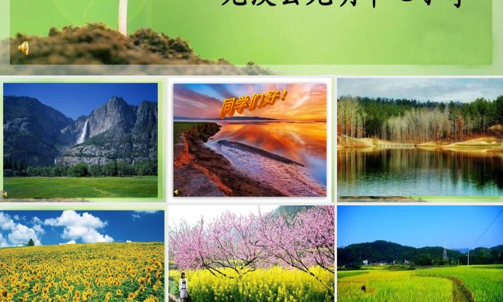 教科小学科学五上《3.4、土壤中有什么》PPT课件(4)【加微信公众号 jiaoxuewuyou 九折优惠 qq 1119139686】.ppt