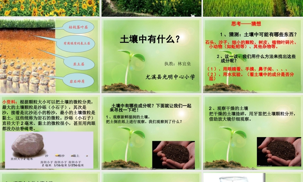 教科小学科学五上《3.4、土壤中有什么》PPT课件(4)【加微信公众号 jiaoxuewuyou 九折优惠 qq 1119139686】.ppt