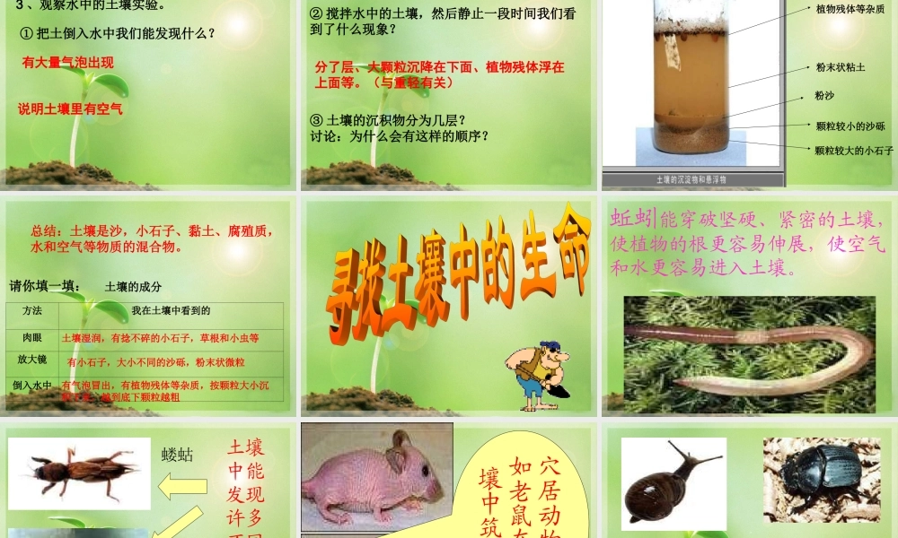 教科小学科学五上《3.4、土壤中有什么》PPT课件(4)【加微信公众号 jiaoxuewuyou 九折优惠 qq 1119139686】.ppt