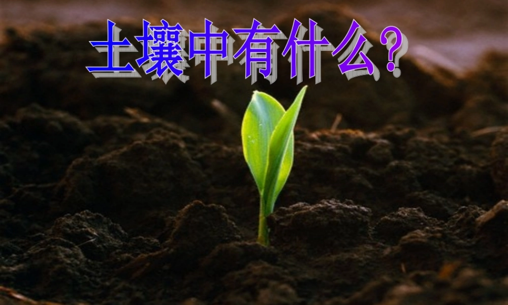 教科小学科学五上《3.4、土壤中有什么》PPT课件(1)【加微信公众号 jiaoxuewuyou 九折优惠 qq 1119139686】.ppt