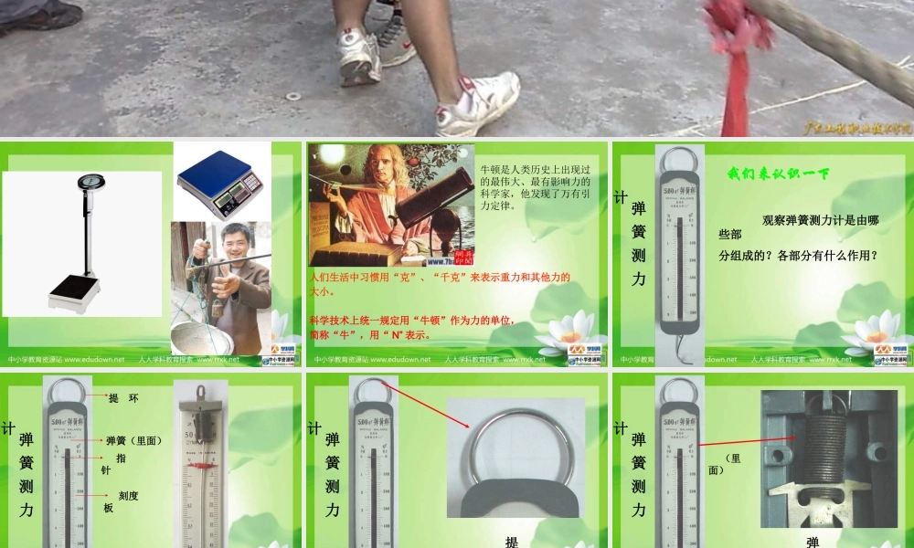 教科小学科学五上《4.4、测量力的大小》PPT课件(2)【加微信公众号 jiaoxuewuyou 九折优惠 qq 1119139686】.ppt