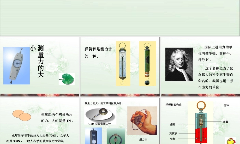 教科小学科学五上《4.4、测量力的大小》PPT课件(5)【加微信公众号 jiaoxuewuyou 九折优惠 qq 1119139686】.ppt