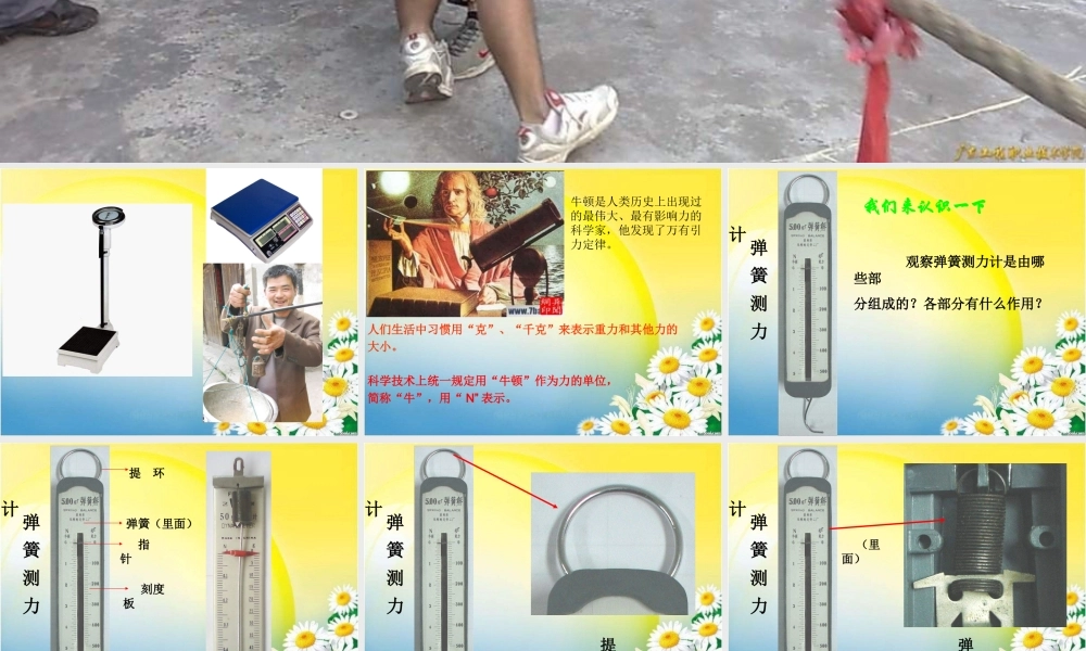 教科小学科学五上《4.4、测量力的大小》PPT课件(1)【加微信公众号 jiaoxuewuyou 九折优惠 qq 1119139686】.ppt