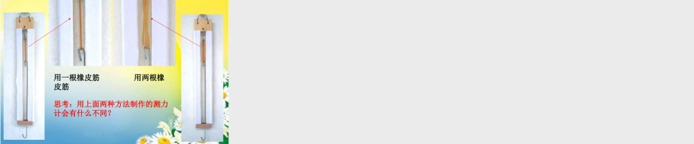 教科小学科学五上《4.4、测量力的大小》PPT课件(1)【加微信公众号 jiaoxuewuyou 九折优惠 qq 1119139686】.ppt