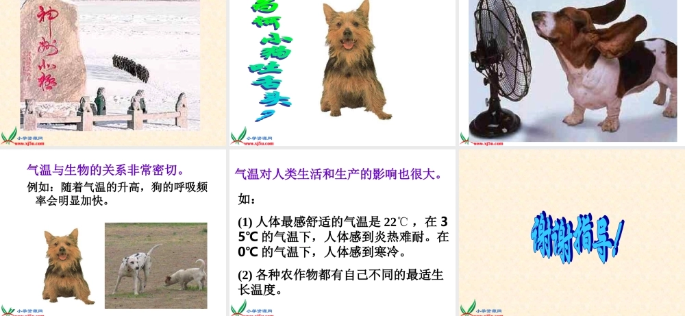 教科小学科学五下《2.1、热起来了》PPT课件(3)【加微信公众号 jiaoxuewuyou 九折优惠 qq 1119139686】.ppt