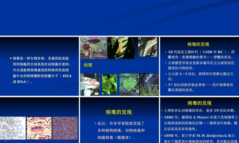 青岛小学科学六上《1、病毒》PPT课件 (1)【加微信公众号 jiaoxuewuyou 九折优惠 qq 1119139686】.ppt