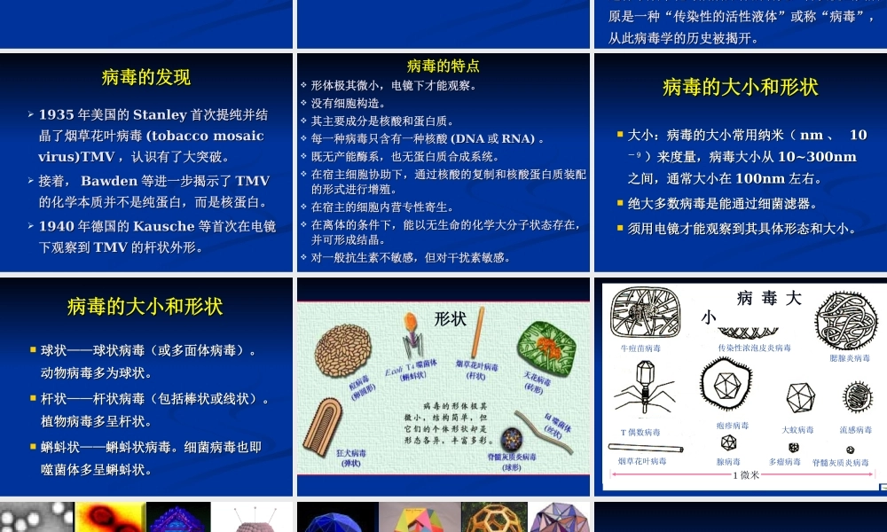 青岛小学科学六上《1、病毒》PPT课件 (1)【加微信公众号 jiaoxuewuyou 九折优惠 qq 1119139686】.ppt
