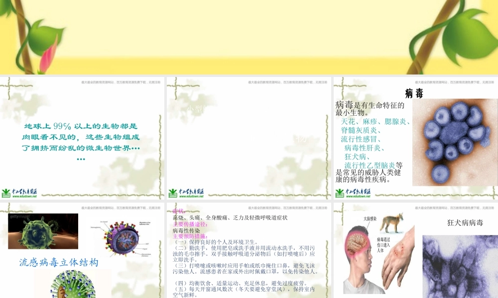 青岛小学科学六上《1、病毒》PPT课件 (4)【加微信公众号 jiaoxuewuyou 九折优惠 qq 1119139686】.ppt