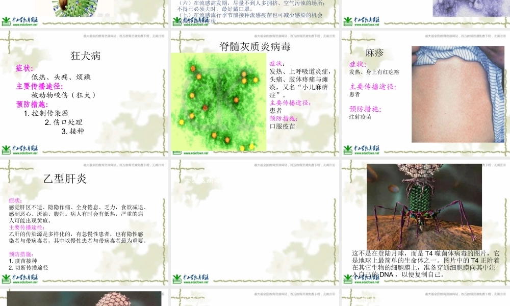 青岛小学科学六上《1、病毒》PPT课件 (4)【加微信公众号 jiaoxuewuyou 九折优惠 qq 1119139686】.ppt