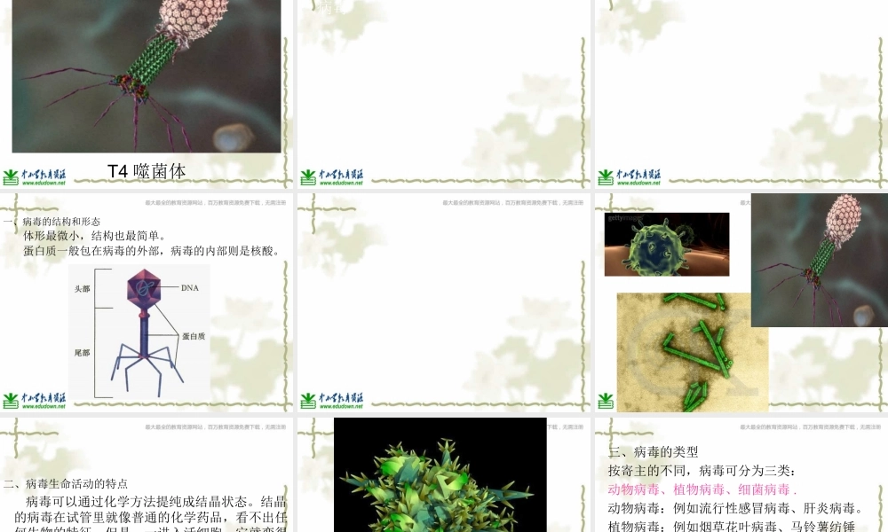 青岛小学科学六上《1、病毒》PPT课件 (4)【加微信公众号 jiaoxuewuyou 九折优惠 qq 1119139686】.ppt