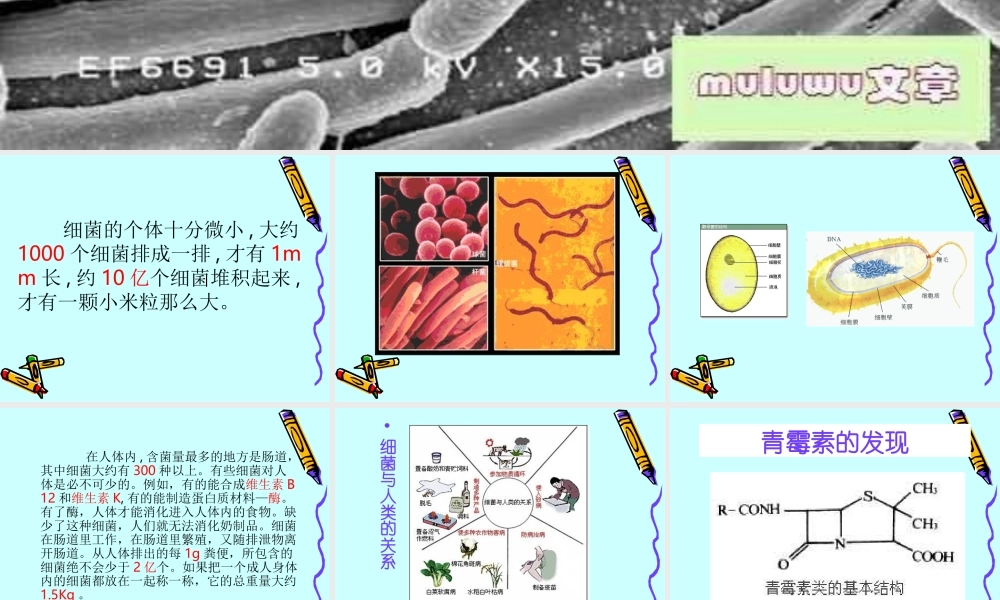 青岛小学科学六上《2、细菌》PPT课件 (1)【加微信公众号 jiaoxuewuyou 九折优惠 qq 1119139686】.ppt