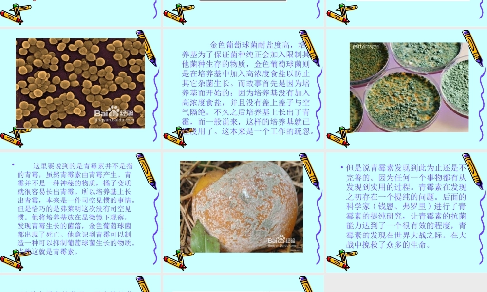 青岛小学科学六上《2、细菌》PPT课件 (1)【加微信公众号 jiaoxuewuyou 九折优惠 qq 1119139686】.ppt