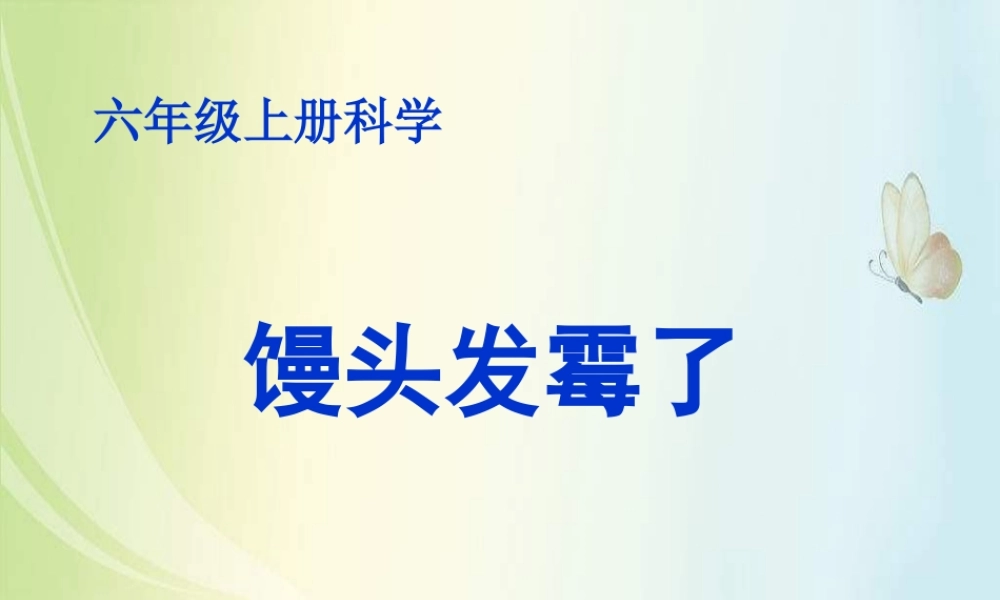 青岛小学科学六上《3、馒头发霉了》PPT课件 (2)【加微信公众号 jiaoxuewuyou 九折优惠 qq 1119139686】.ppt
