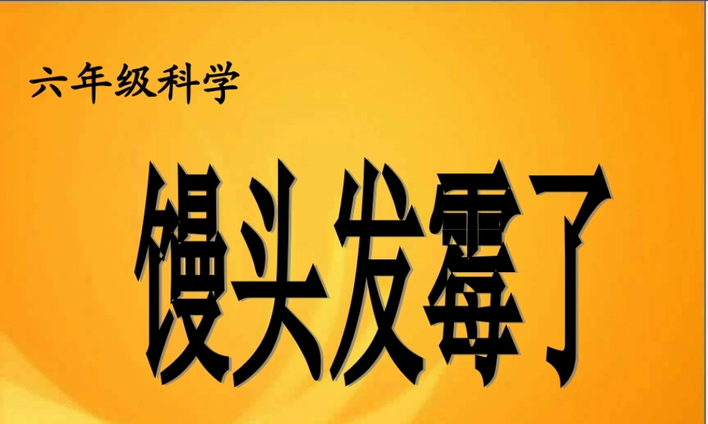 青岛小学科学六上《3、馒头发霉了》PPT课件 (1)【加微信公众号 jiaoxuewuyou 九折优惠 qq 1119139686】.ppt