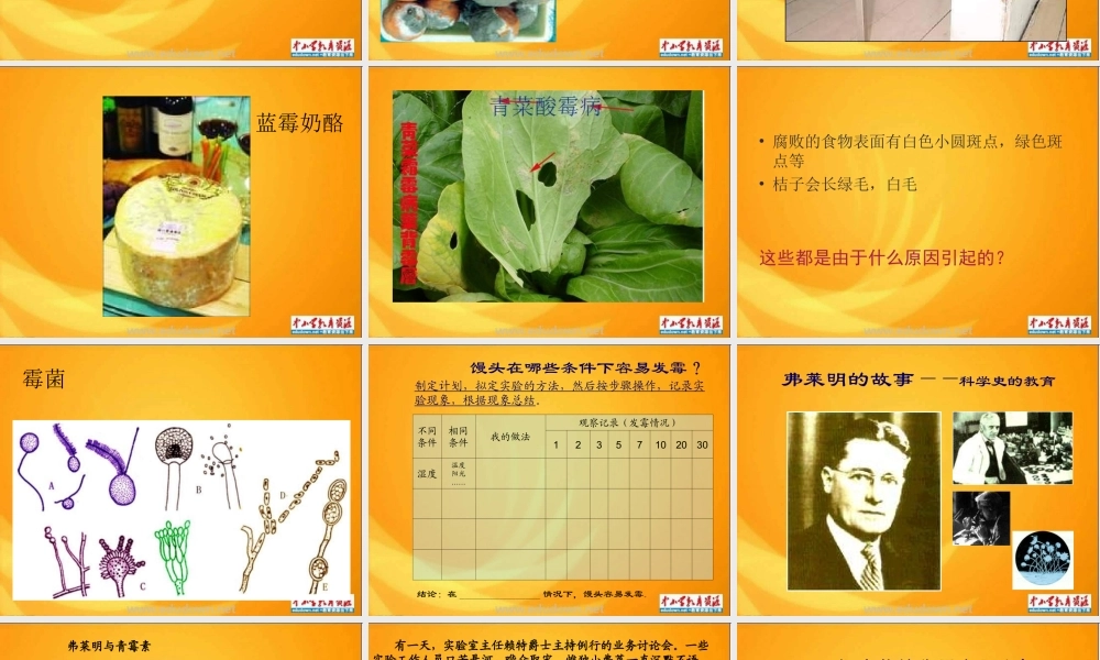 青岛小学科学六上《3、馒头发霉了》PPT课件 (1)【加微信公众号 jiaoxuewuyou 九折优惠 qq 1119139686】.ppt