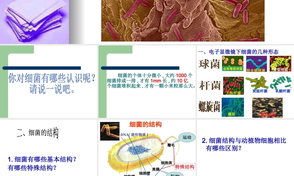 青岛小学科学六上《2、细菌》PPT课件 (2)【加微信公众号 jiaoxuewuyou 九折优惠 qq 1119139686】.ppt