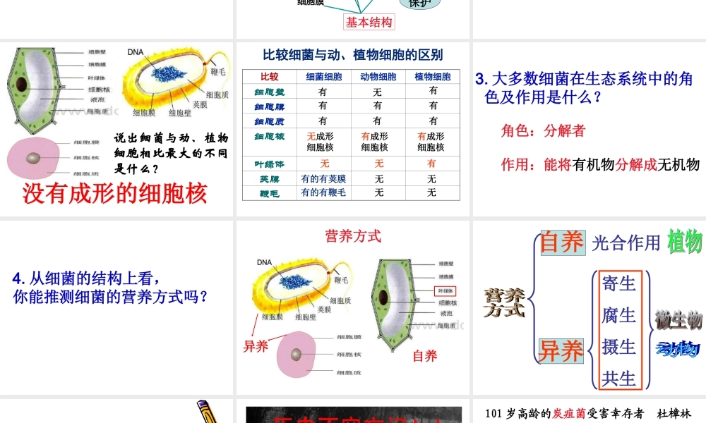 青岛小学科学六上《2、细菌》PPT课件 (2)【加微信公众号 jiaoxuewuyou 九折优惠 qq 1119139686】.ppt
