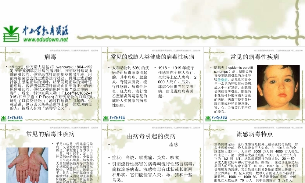 青岛小学科学六上《1、病毒》PPT课件 (3)【加微信公众号 jiaoxuewuyou 九折优惠 qq 1119139686】.ppt