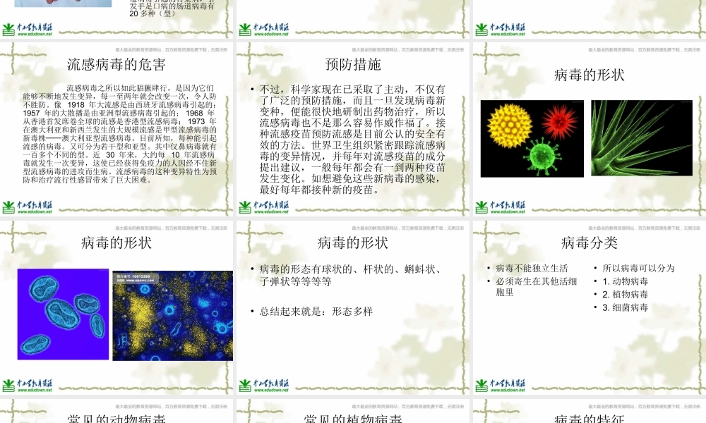 青岛小学科学六上《1、病毒》PPT课件 (3)【加微信公众号 jiaoxuewuyou 九折优惠 qq 1119139686】.ppt