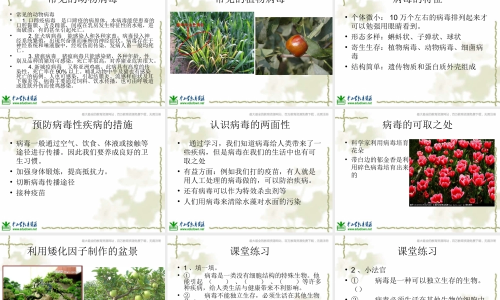 青岛小学科学六上《1、病毒》PPT课件 (3)【加微信公众号 jiaoxuewuyou 九折优惠 qq 1119139686】.ppt