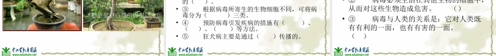 青岛小学科学六上《1、病毒》PPT课件 (3)【加微信公众号 jiaoxuewuyou 九折优惠 qq 1119139686】.ppt