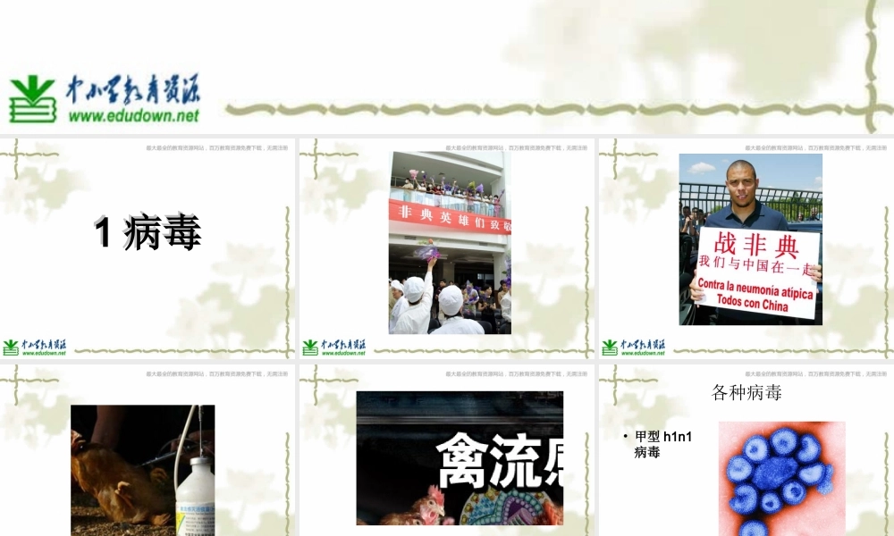 青岛小学科学六上《1、病毒》PPT课件 (2)【加微信公众号 jiaoxuewuyou 九折优惠 qq 1119139686】.ppt