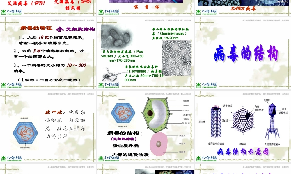 青岛小学科学六上《1、病毒》PPT课件 (5)【加微信公众号 jiaoxuewuyou 九折优惠 qq 1119139686】.ppt