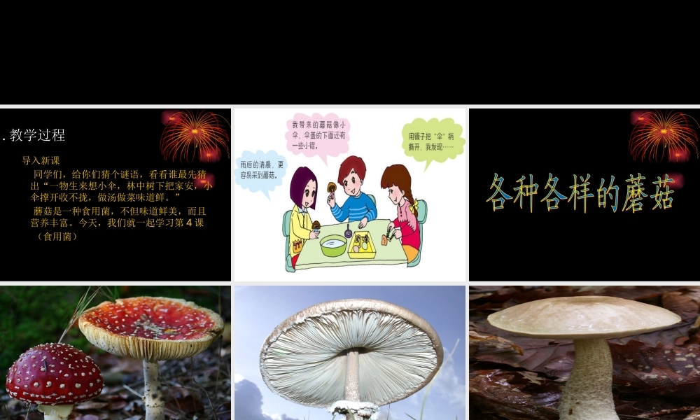 青岛小学科学六上《4、食用菌》PPT课件 (1)【加微信公众号 jiaoxuewuyou 九折优惠 qq 1119139686】.ppt