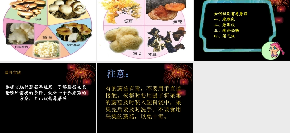 青岛小学科学六上《4、食用菌》PPT课件 (1)【加微信公众号 jiaoxuewuyou 九折优惠 qq 1119139686】.ppt