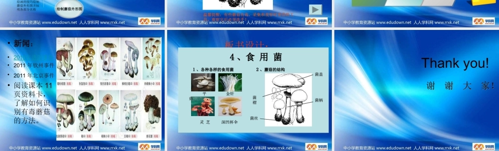 青岛小学科学六上《4、食用菌》PPT课件 (2)【加微信公众号 jiaoxuewuyou 九折优惠 qq 1119139686】.ppt