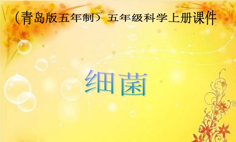青岛小学科学六上《2、细菌》PPT课件 (5)【加微信公众号 jiaoxuewuyou 九折优惠 qq 1119139686】.ppt