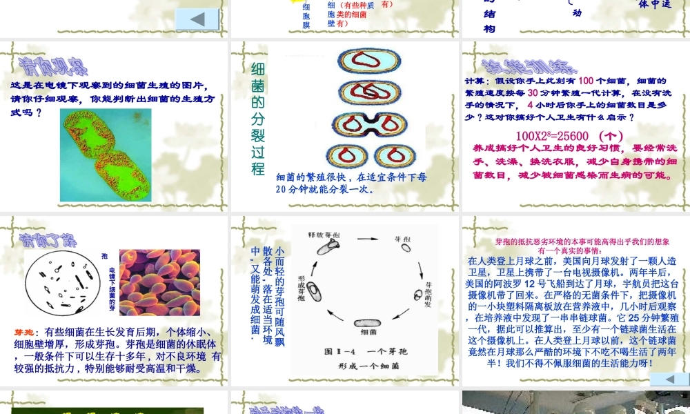 青岛小学科学六上《2、细菌》PPT课件 (4)【加微信公众号 jiaoxuewuyou 九折优惠 qq 1119139686】.ppt