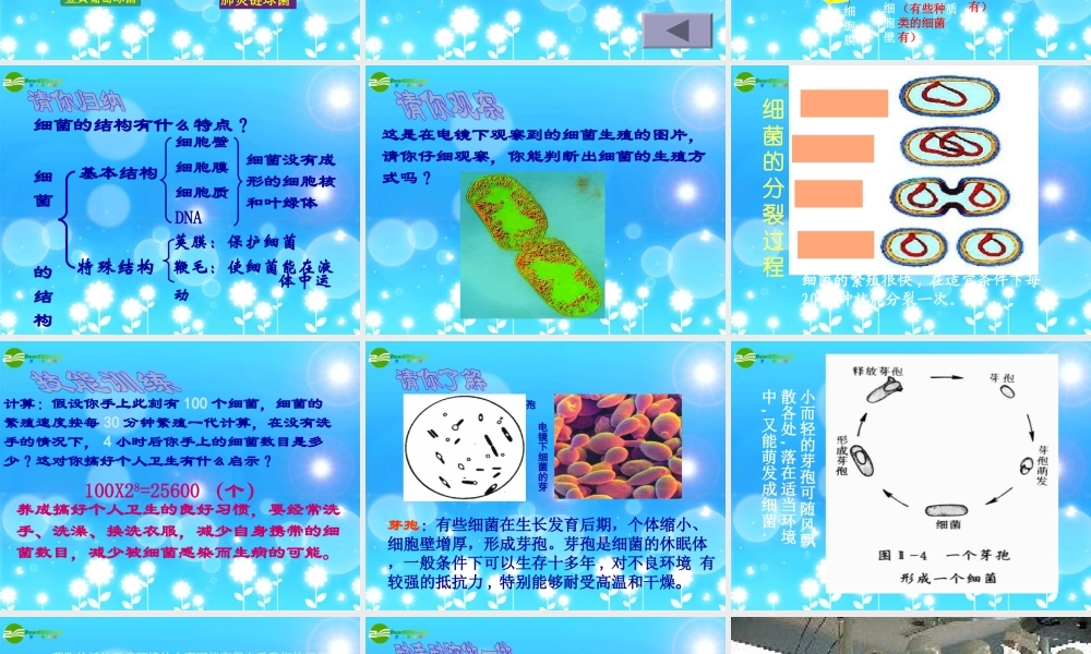 青岛小学科学六上《2、细菌》PPT课件 (3)【加微信公众号 jiaoxuewuyou 九折优惠 qq 1119139686】.ppt