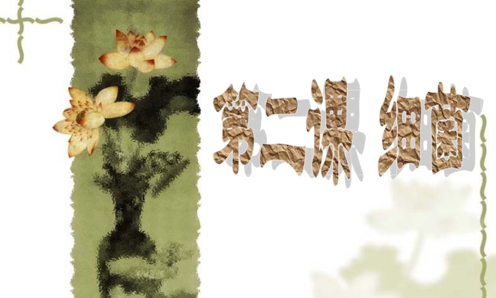 青岛小学科学六上《2、细菌》PPT课件 (6)【加微信公众号 jiaoxuewuyou 九折优惠 qq 1119139686】.ppt