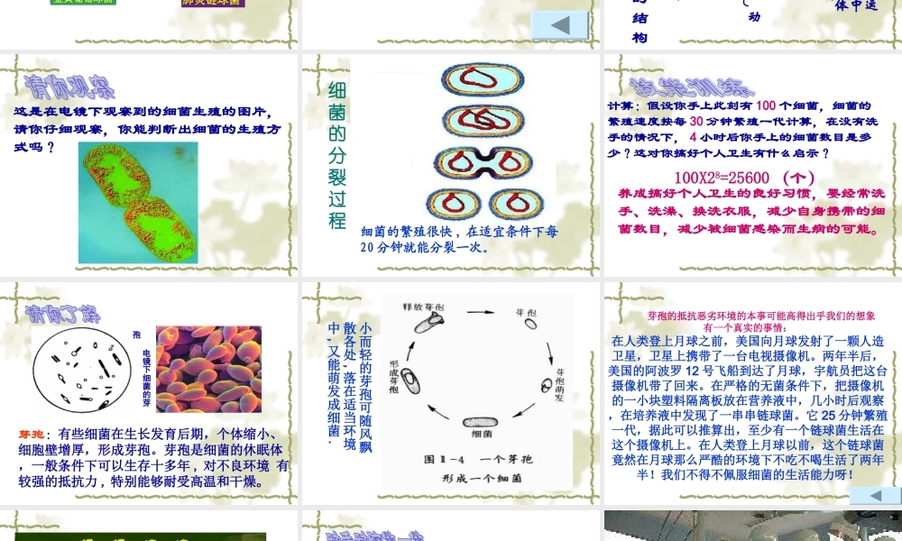 青岛小学科学六上《2、细菌》PPT课件 (6)【加微信公众号 jiaoxuewuyou 九折优惠 qq 1119139686】.ppt