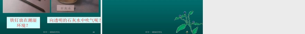 青岛小学科学六上《5、蜡烛的变化》PPT课件 (8)【加微信公众号 jiaoxuewuyou 九折优惠 qq 1119139686】.ppt