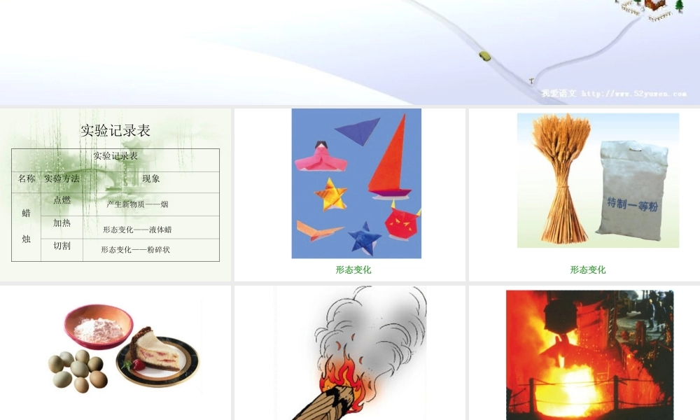 青岛小学科学六上《5、蜡烛的变化》PPT课件 (13)【加微信公众号 jiaoxuewuyou 九折优惠 qq 1119139686】.ppt