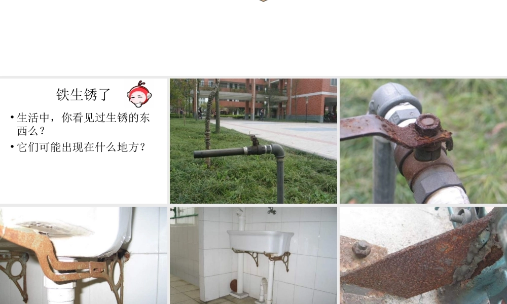 青岛小学科学六上《7、铁生锈》PPT课件 (8)【加微信公众号 jiaoxuewuyou 九折优惠 qq 1119139686】.ppt