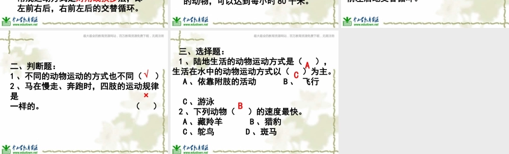 青岛小学科学六上《13、动物的运动》PPT课件 (2)【加微信公众号 jiaoxuewuyou 九折优惠 qq 1119139686】.ppt