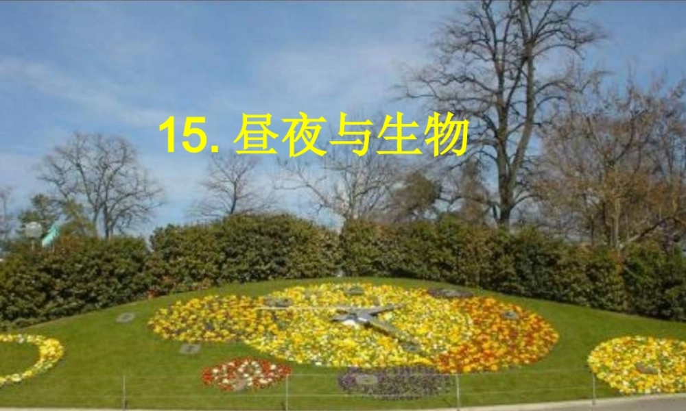 青岛小学科学六上《15、昼夜与生物》PPT课件 (8)【加微信公众号 jiaoxuewuyou 九折优惠 qq 1119139686】.ppt