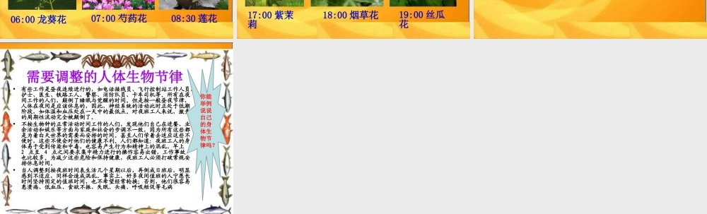 青岛小学科学六上《15、昼夜与生物》PPT课件 (8)【加微信公众号 jiaoxuewuyou 九折优惠 qq 1119139686】.ppt