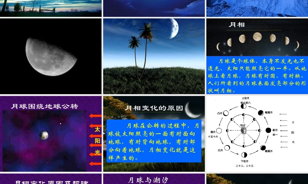 青岛小学科学六上《17、弯弯的月亮》PPT课件 (5)【加微信公众号 jiaoxuewuyou 九折优惠 qq 1119139686】.ppt