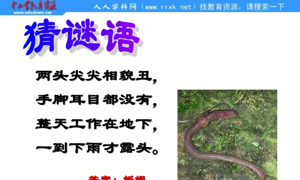 青岛小学科学六上《20、蚯蚓找家》PPT课件 (2)【加微信公众号 jiaoxuewuyou 九折优惠 qq 1119139686】.ppt