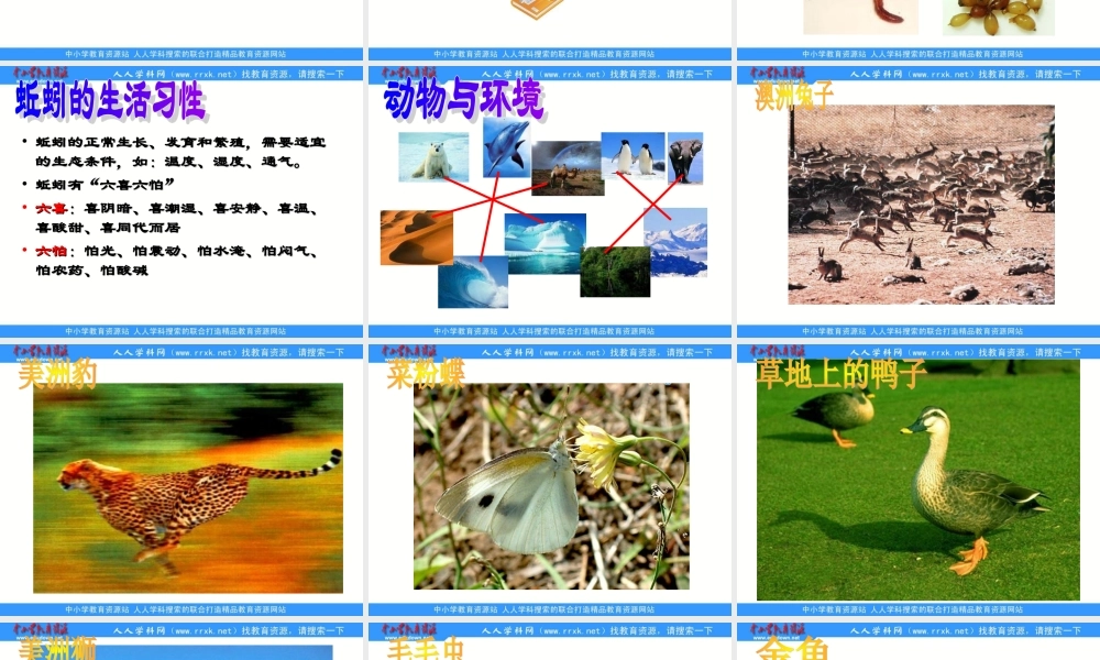 青岛小学科学六上《20、蚯蚓找家》PPT课件 (2)【加微信公众号 jiaoxuewuyou 九折优惠 qq 1119139686】.ppt