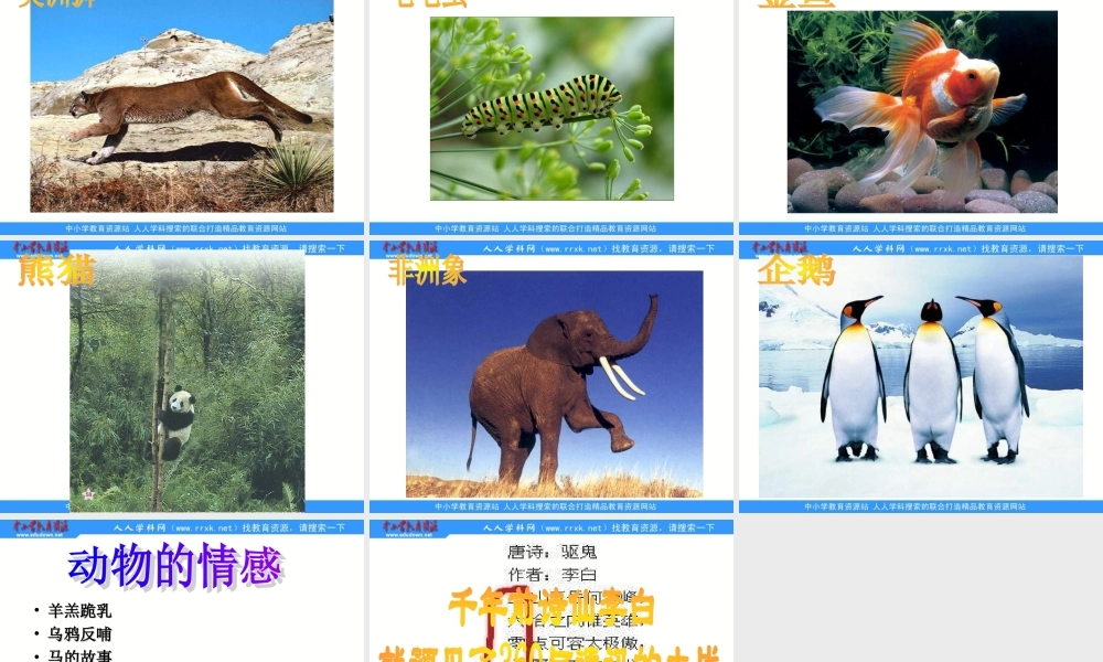 青岛小学科学六上《20、蚯蚓找家》PPT课件 (2)【加微信公众号 jiaoxuewuyou 九折优惠 qq 1119139686】.ppt