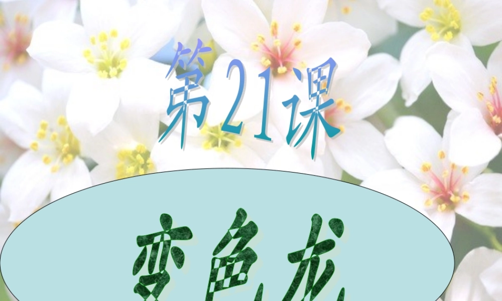 青岛小学科学六上《21、变色龙》PPT课件 (3)【加微信公众号 jiaoxuewuyou 九折优惠 qq 1119139686】.ppt