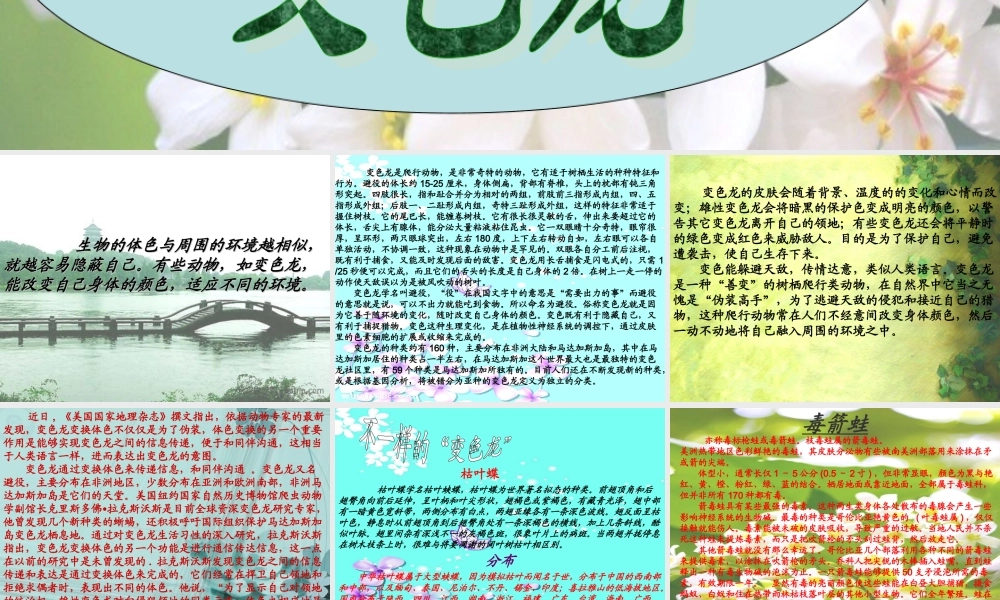 青岛小学科学六上《21、变色龙》PPT课件 (3)【加微信公众号 jiaoxuewuyou 九折优惠 qq 1119139686】.ppt
