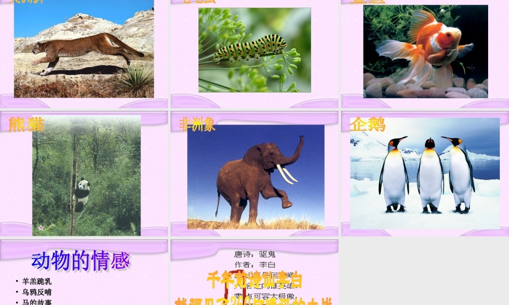 青岛小学科学六上《20、蚯蚓找家》PPT课件 (1)【加微信公众号 jiaoxuewuyou 九折优惠 qq 1119139686】.ppt