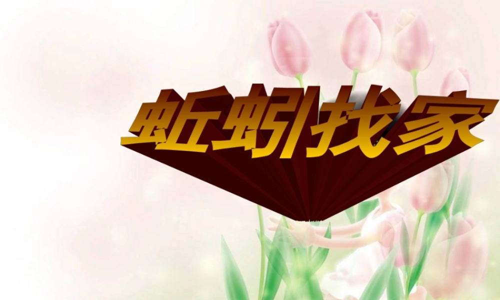 青岛小学科学六上《20、蚯蚓找家》PPT课件 (3)【加微信公众号 jiaoxuewuyou 九折优惠 qq 1119139686】.ppt