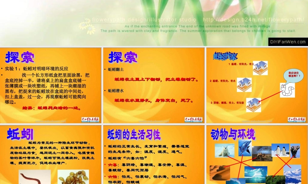 青岛小学科学六上《20、蚯蚓找家》PPT课件 (3)【加微信公众号 jiaoxuewuyou 九折优惠 qq 1119139686】.ppt